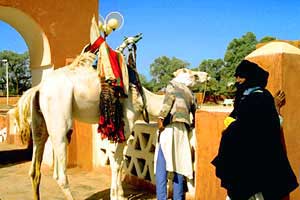 Tuareg Tribesmen