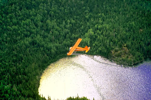DHC-2 Beaver Image by John S Goulet
