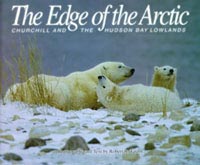 The Edge of the Arctic
