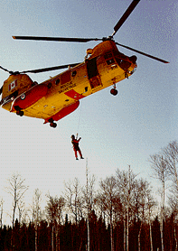 [http://ebushpilot.com/images/labrador-hoist.gif]